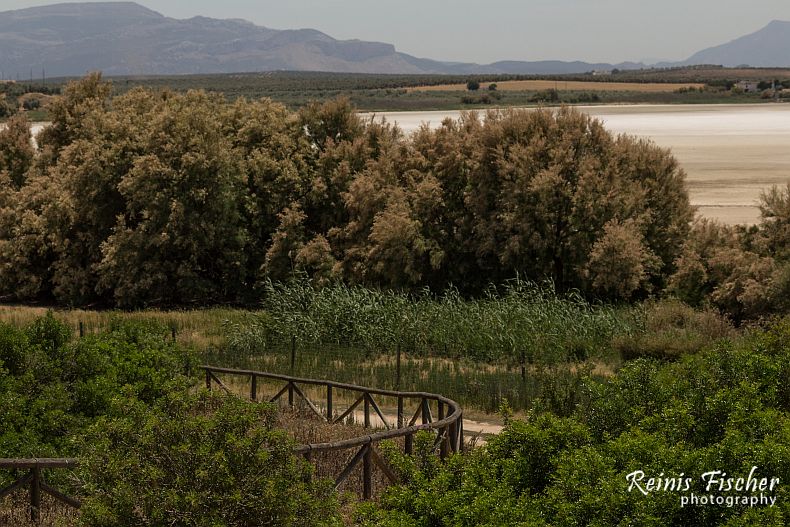 Hiking trails around lake