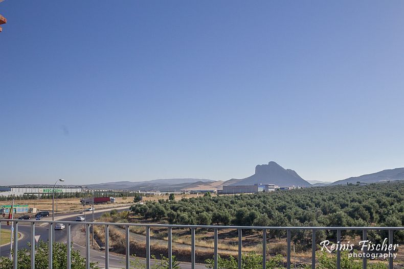 View from balcony towards olive grove