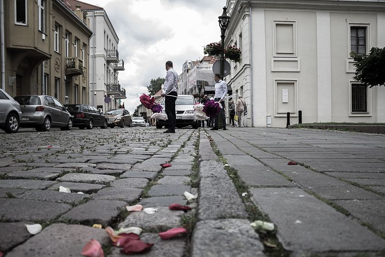 Rose leaves in the streets of Kaunas