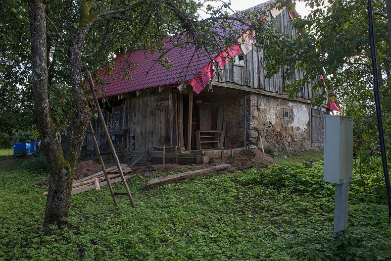 View toward house from garden
