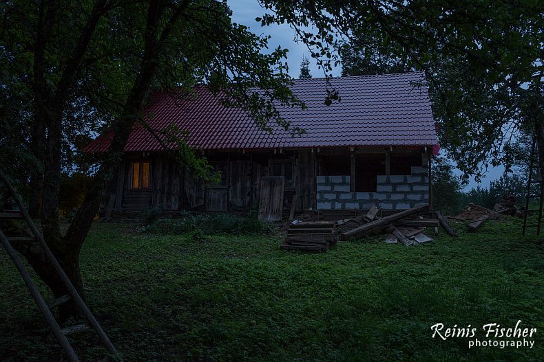 View toward house from garden