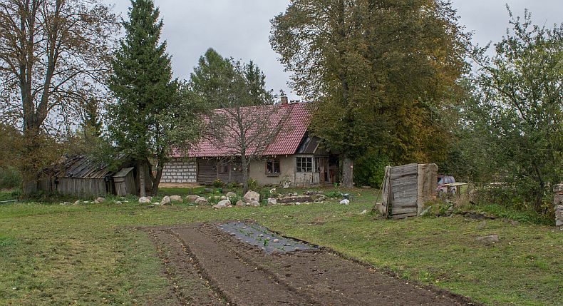View towards rock garden and house