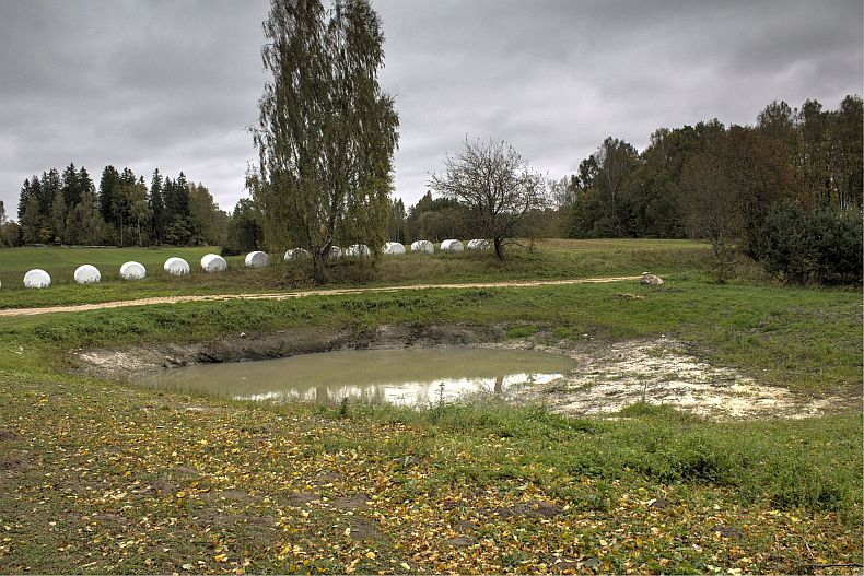 Pond at the start of October 2016