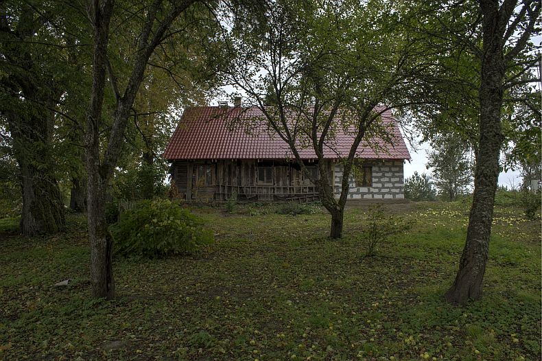 View towards house from apple orchard