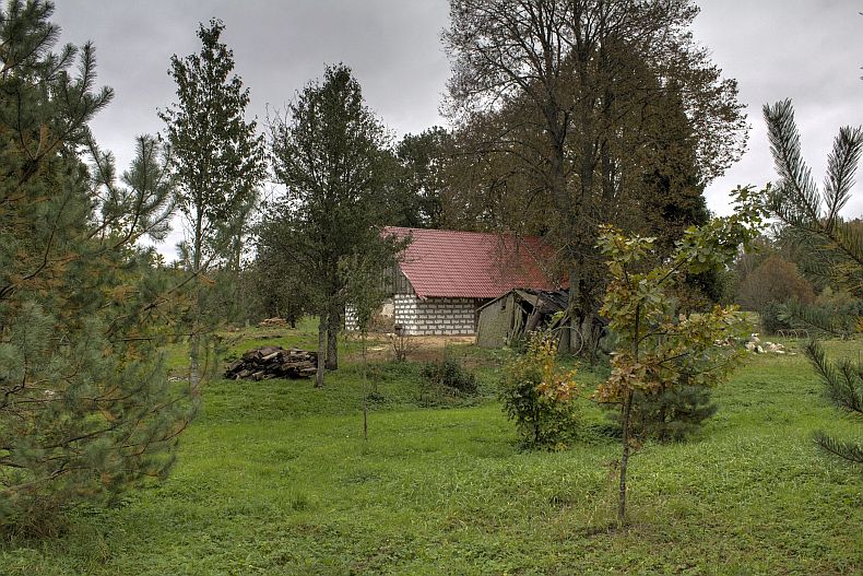 View towards house from woods