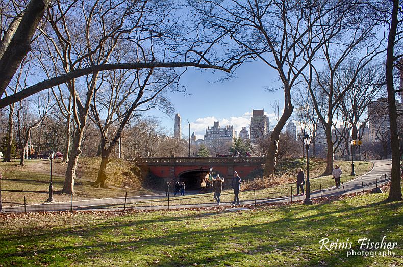 One of the park's bridges; no two are alike
