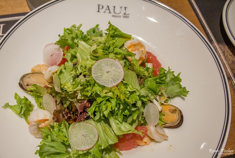 Salads with mussels and shrimps