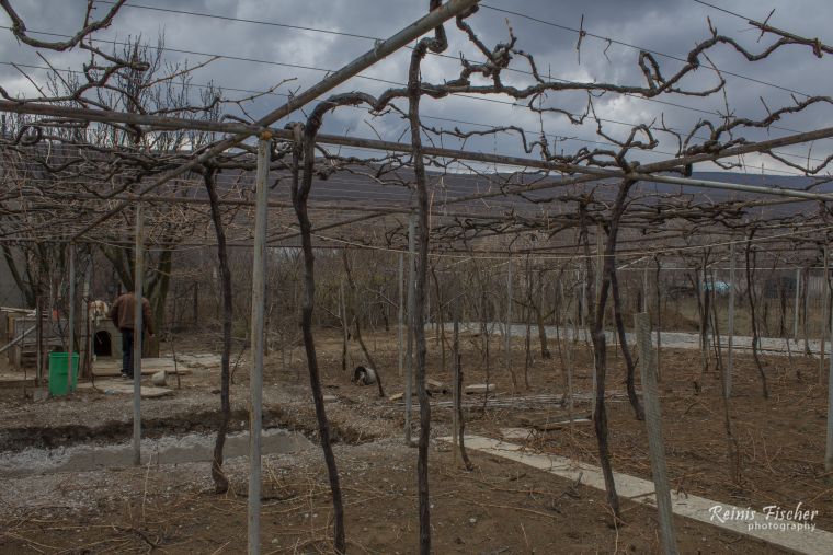 Chateau Ateni winery in Georgia