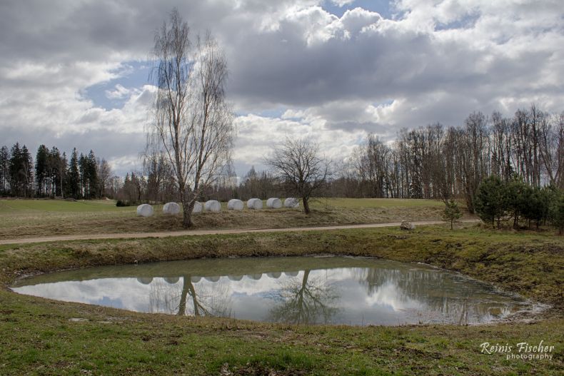 Pond in April 2017
