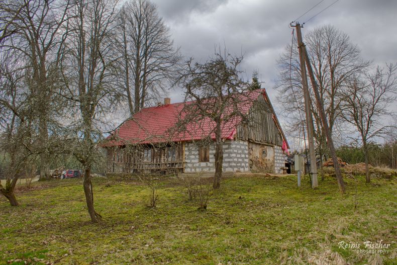 View from apple orchard