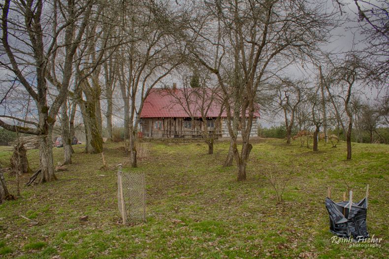 View from apple orchard