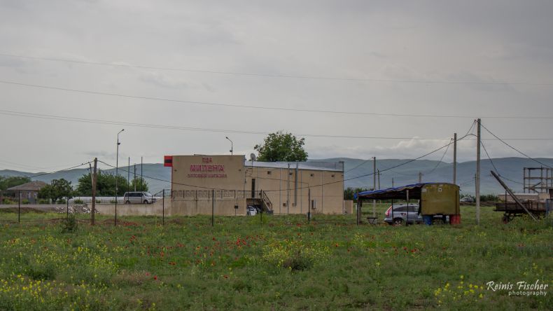 Poppy fields next to the Milena Shopping mall near Marneuli