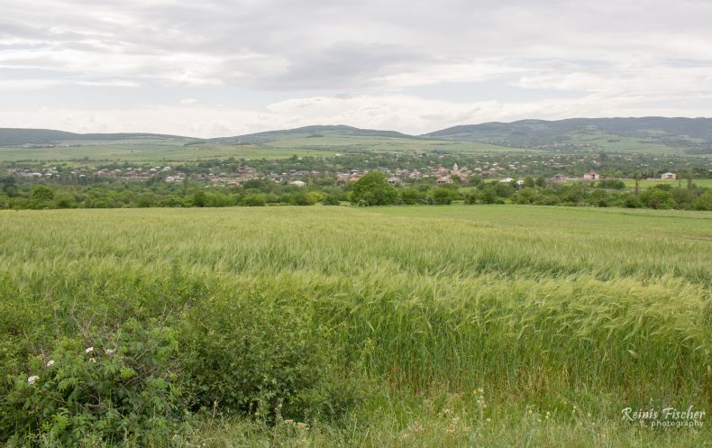 View towards Mchadijvari from the poppy fields