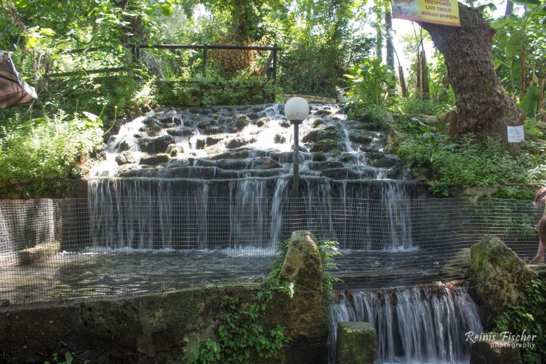 Springs at Palios Mylos restaurant