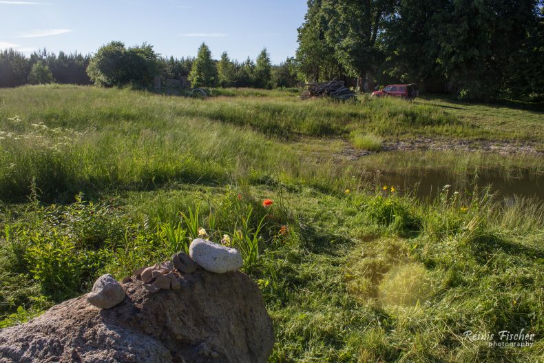 Trimming near flower garden
