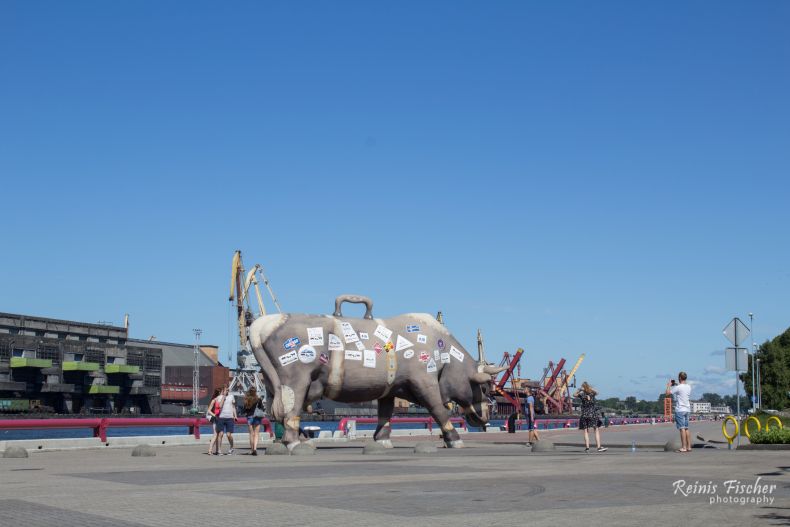 Cow-traveler sculpture in Ventspils