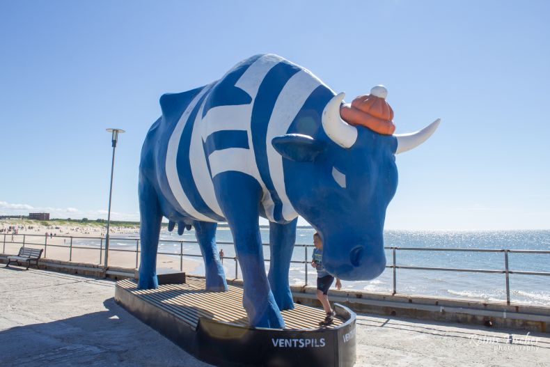 Blue cow at Ventspils Southern quay