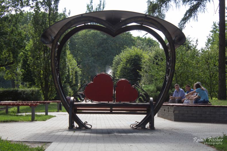 Bench in the botanical garden