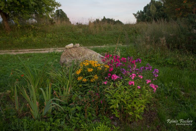 Beautiful flower garden near the pond